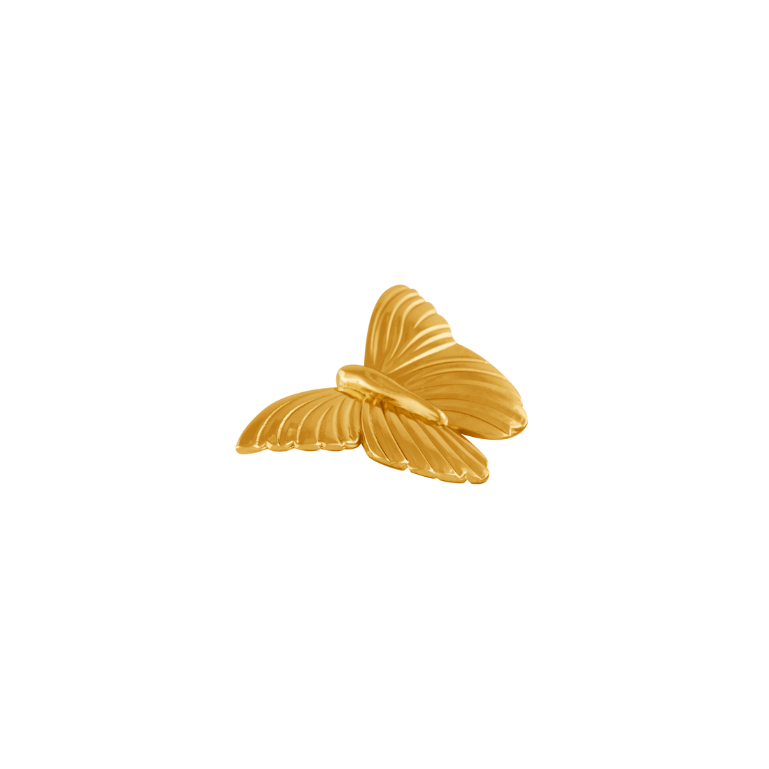 Mariposa Handle Knob 80mm / Gold / Brass - M A N T A R A