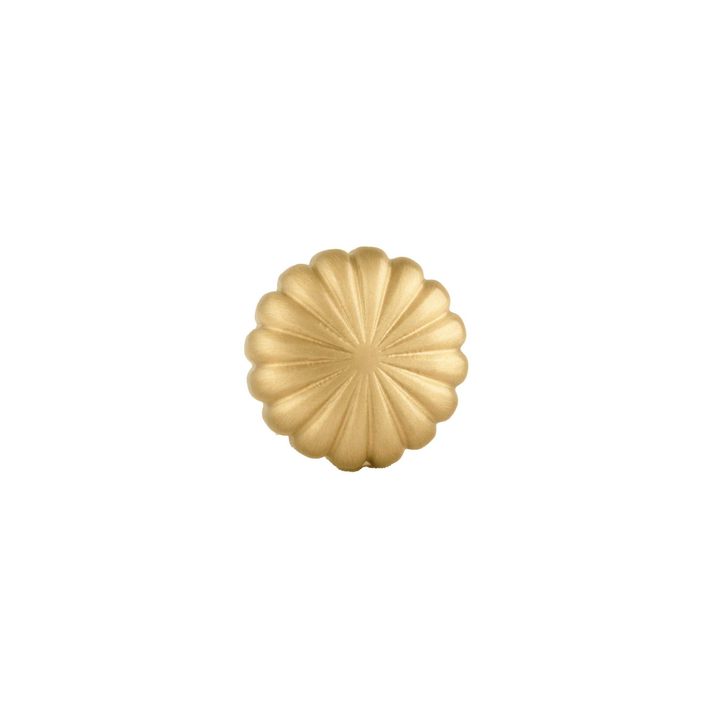 Radial Knob Knob 25mm / Gold / Brass - M A N T A R A